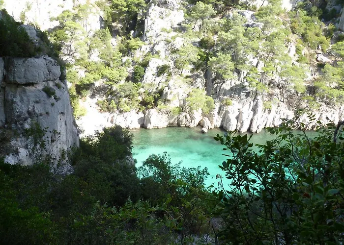 Canaille Candelle Cassis