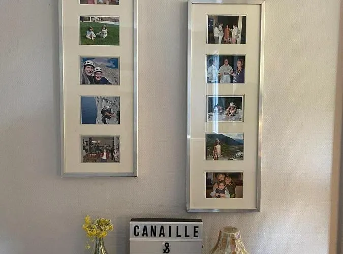 Canaille Candelle Cassis
