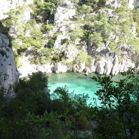 Canaille Candelle Cassis