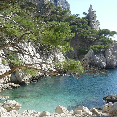 Canaille Candelle Cassis