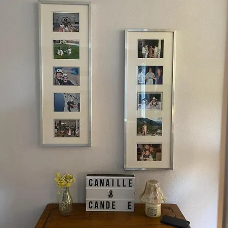 Canaille Candelle Cassis